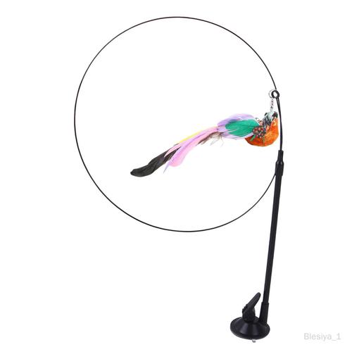 Jouets Interactifs En Plumes Pour , Jouet D'exercice Portable Pour D'intérieur, Bâton Pour Animal De Compagnie, , Exercice De Chasse