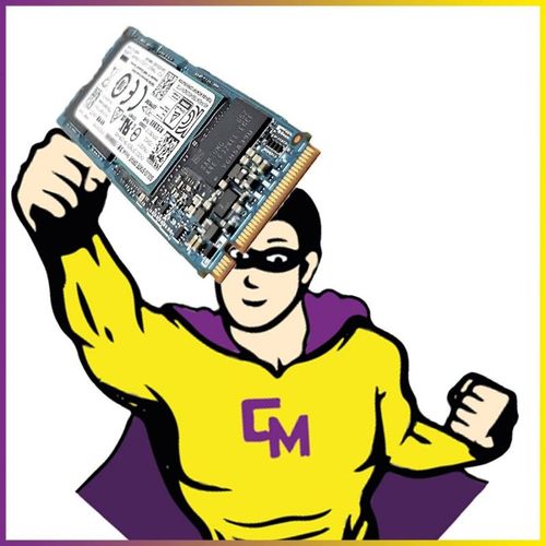SSD NVMe M.2 2280 256Go Kioxia Toshiba KXG6AZNV256G XG6 P/N SSS0L24756 01LX200