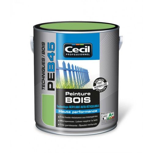 Peinture bois acrylique PE B45 - Blanc | 5 L Finition : Satin