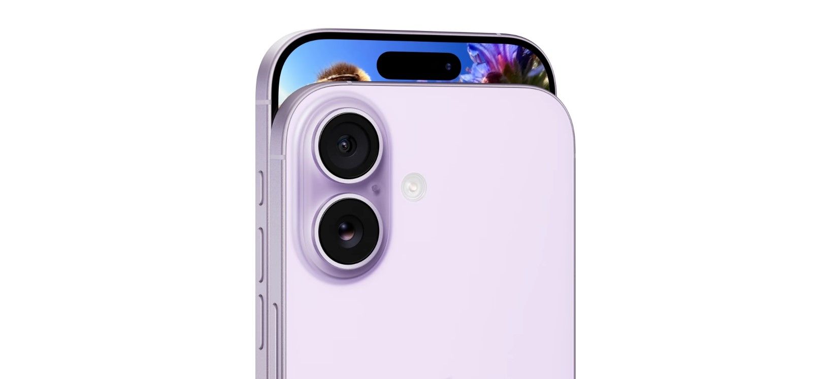 null image 3 | Rakuten