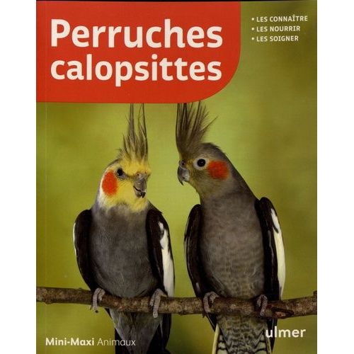 Perruches Calopsittes