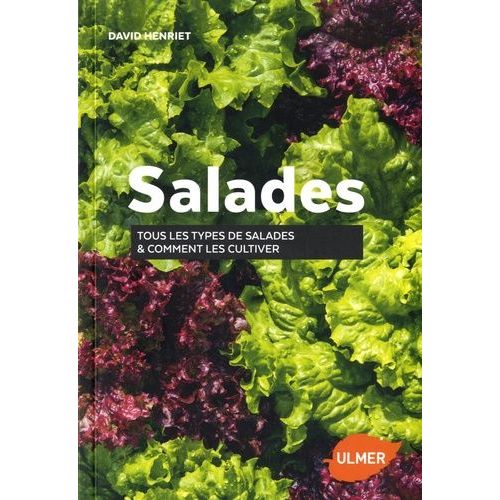 Salades - Tous Les Types De Salades Et Comment Les Cultiver