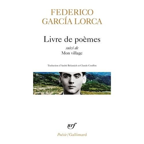 Poésies - Tome 1, Livre De Poèmes, Mon Village, Impressions Et Paysages (Extraits)