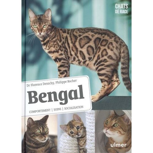 Bengal - Comportement, Soins, Socialisation