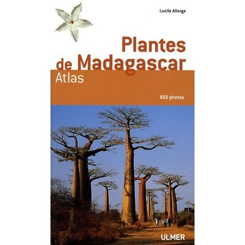 Plantes De Madagascar - Atlas (1 Cd-Rom)