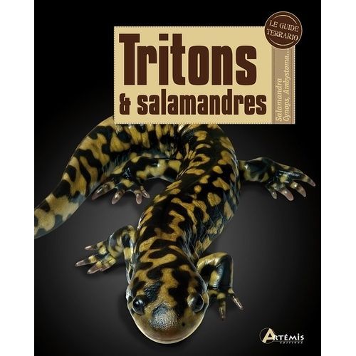 Tritons Et Salamandres