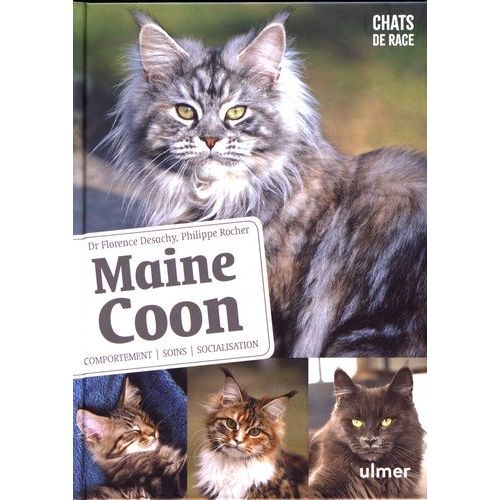 Maine Coon