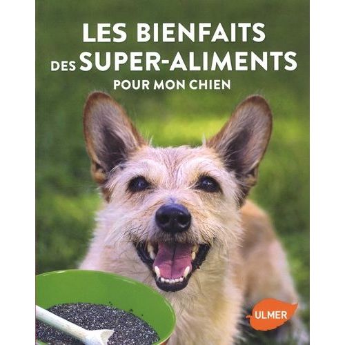 Les Bienfaits Des Super-Aliments Pour Mon Chien