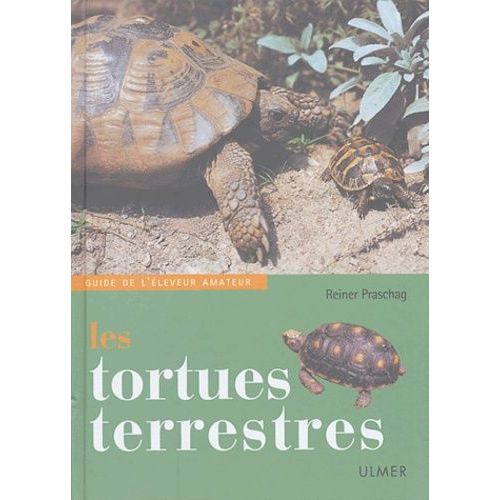 Les Tortues Terrestres