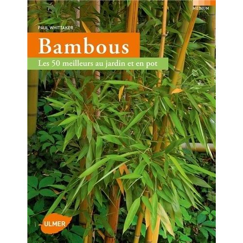 Bambous - Les 50 Meilleurs Au Jardin Et En Pot