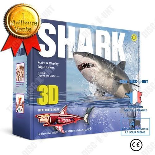 Td® Jouets Éducatifs Pour Enfants Créatifs Anatomie De Requin Jouets D'excavation Archéologique Squelette