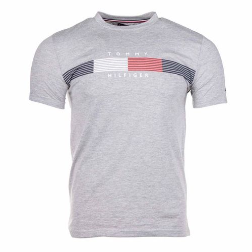Tee-Shirt Manches Courtes Gris Homme Tommy Hilfiger Taille S