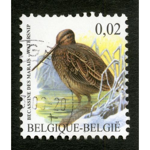 Timbre Oblitéré Belgique-Belgie, Bécassine Des Marais, 0.02