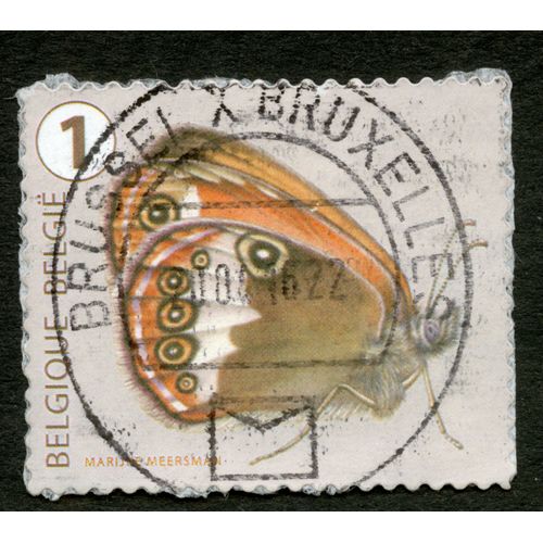 Timbre Oblitéré Belgique-België, Marijke Meersman, 1
