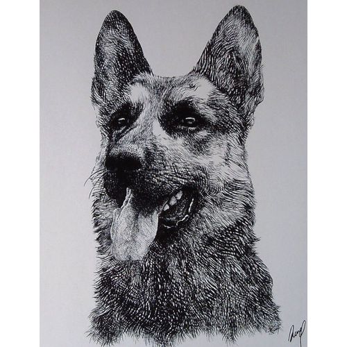 Chien Berger Allemand - Reproduction Ancienne