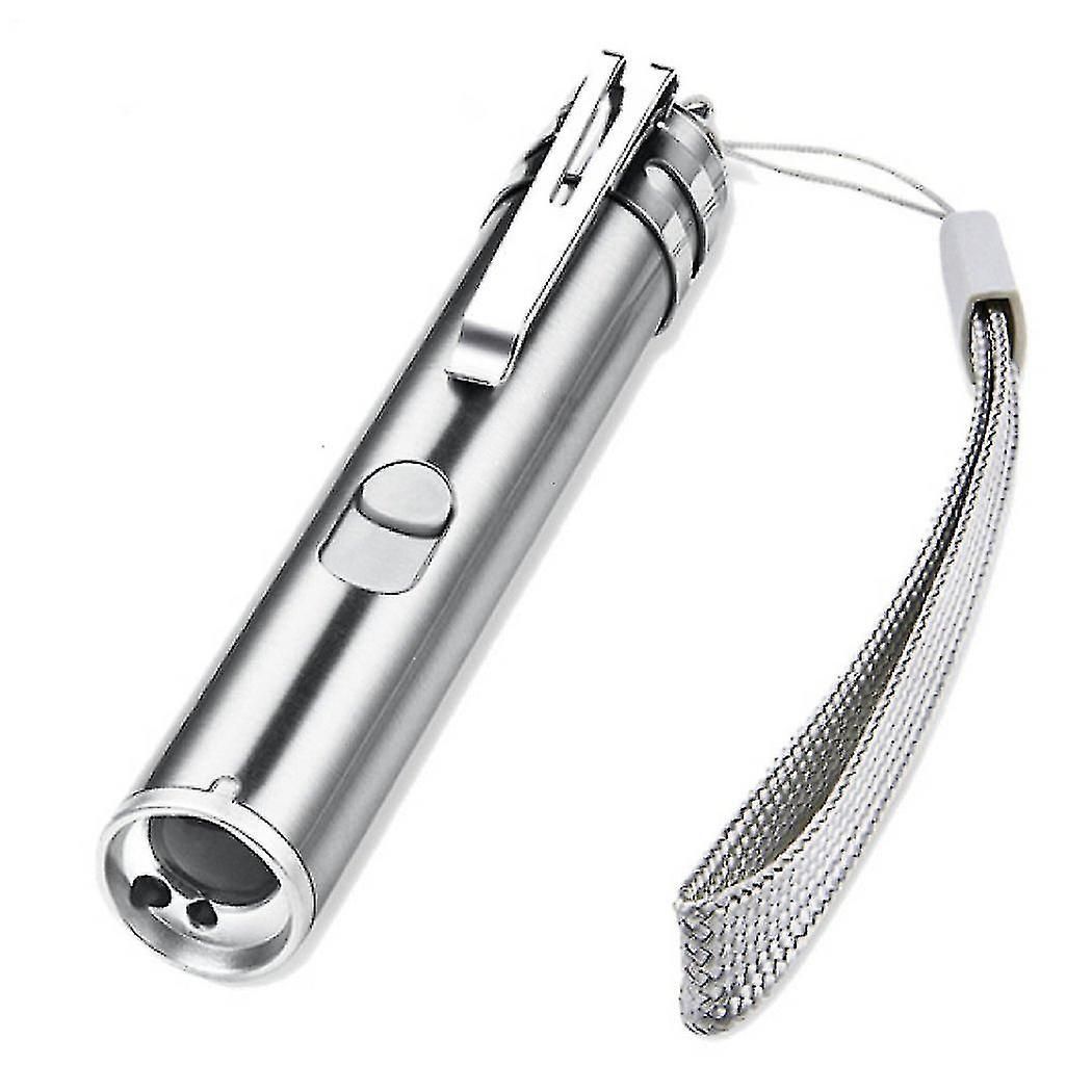 L'animal Familier Rechargeable D'usb Joue Le Pointeur De Las... - 2