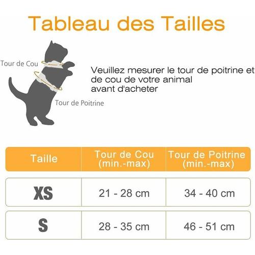 Harnais Chat Petit Chien Laisse Harnais Chaton Réglable Noir Xs Collier Harnai Chat Réfléchissant Gilet Respirant Pour Lapin Chat Européen Maine Coon Persan Attache Dessus Avec Laisse Fontaineble