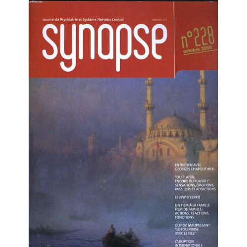 Synapse, N° 228, Octobre 2006