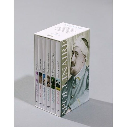 Guillaume Apollinaire - Coffret En 6 Volumes, Alcools - Calligrammes - L'enchanteur Pourrissant - Le Guetteur Mélancolique - Poèmes À Lou - Le Poète Assassiné
