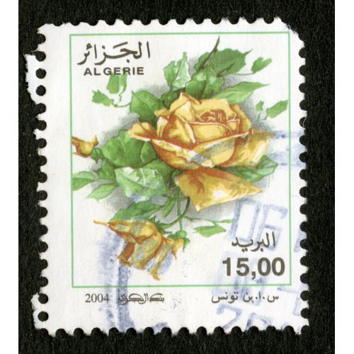 Timbre Oblitéré Algérie, 2004, 15.00