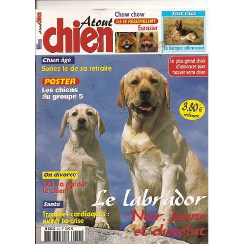 Atout Chien N° 213 : Le Labrador Noir, Jaune Et Chocolat.