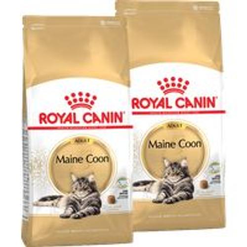 Royal Canin Maine Coon Adulte Croquettes Chat 2x10 Kg