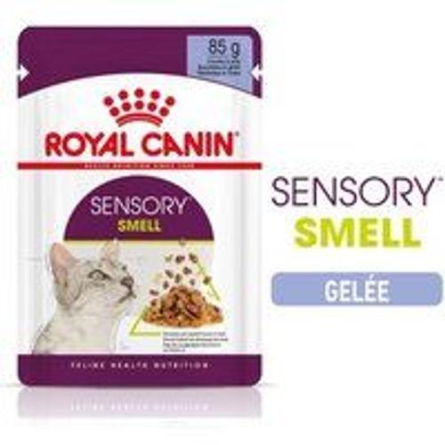 Royal Canin Sensory Smell Nourriture Humide Chat 12 X 85 G