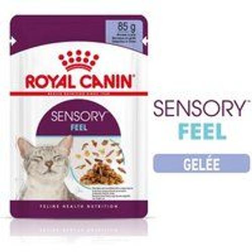 Royal Canin Sensory Feel Nourriture Humide Chat 12 X 85 G