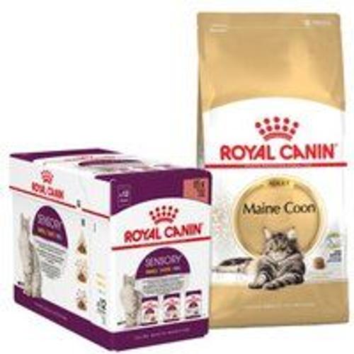 Royal Canin Maine Coon Adulte Croquettes Chat 10kg + Multipack For Free