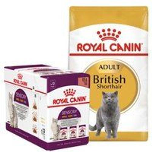 Royal Canin British Shorthair Adulte Croquettes Chat 10kg+ Multipack For Free