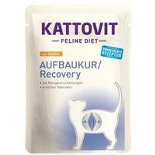 Kattovit Cure De Remise En Forme Poulet 24 X 85 G