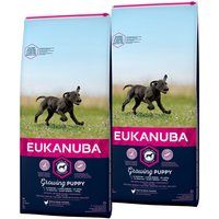 Eukanuba Puppy Large Breed 2x15 Kg