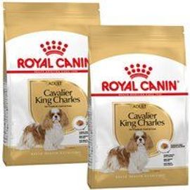 Royal Canin Cavalier King Charles Adulte Croquettes Chien 2x1,5 Kg