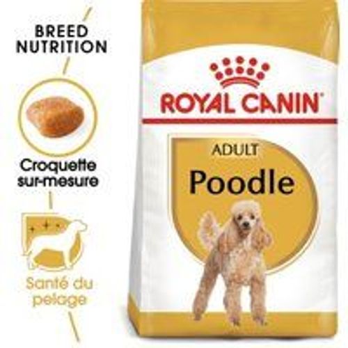 Royal Canin Caniche Adulte Croquettes Chien 3 Kg