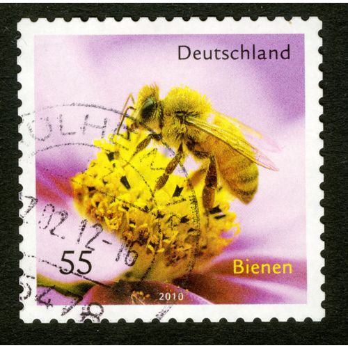 Timbre Oblitéré Deutschland, Bienen, 2010, 55