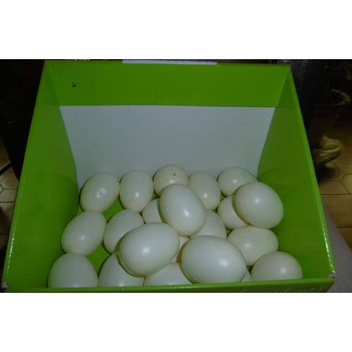 P.W.I. Oeufs En Plastique Blanc H. 6cm Lot De 10