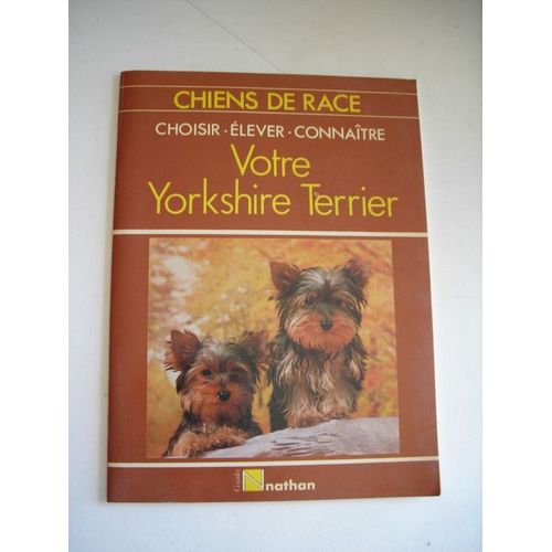 Choisir Élever Connaitre Votre Yorkshire Terrier Chiens De Race