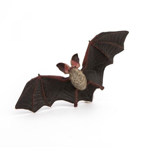 La Vie Sauvage Chauve-Souris