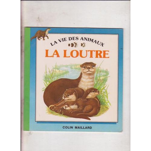 La Vie Des Animaux La Loutre