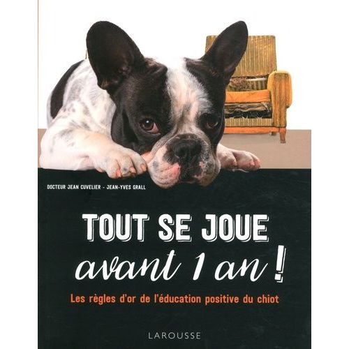 Tout Se Joue Avant 1 An ! - Les Règles D'or De L'éducation Positive Du Chiot