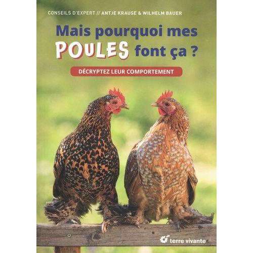 Mais Pourquoi Mes Poules Font Ça ? - Décryptez Leur Comportement