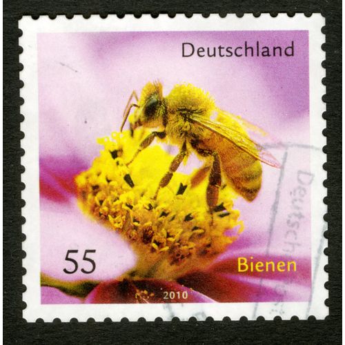 Timbre Oblitéré Deutschland, Bienen, 2010, 55