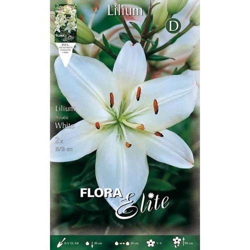 Lilium Asiatic White (Confezione Da 2 Bulbo)