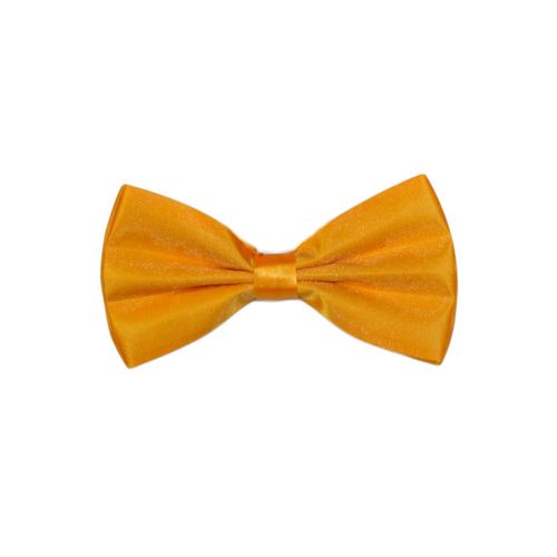 Noeud Papillon Jaune Homme
