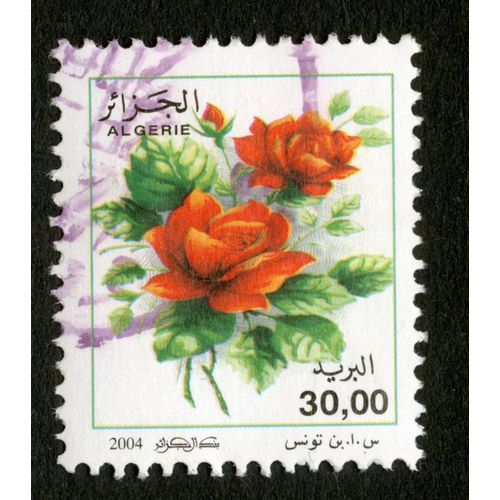 Timbre Oblitéré Algérie, 2004, 30.00