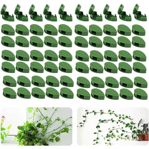 Ensemble de 70 attaches murales pour plantes grimpantes - Pour le jardin, la maison, le bureau