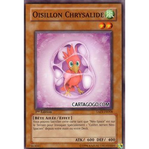 Taev -  Oisillon Chrysalide - Commune