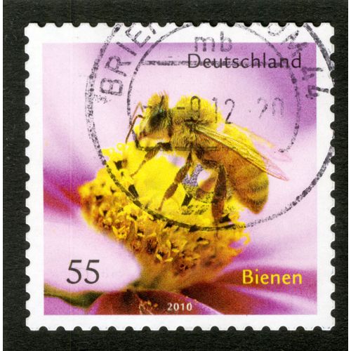 Timbre Oblitéré Deutschland, Bienen, 2010, 55