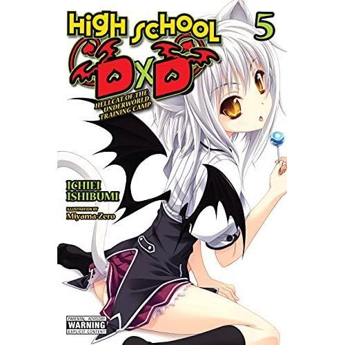 High School Dxd, Vol. 5 (Light Novel)