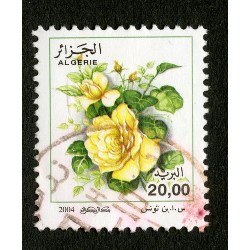 Timbre Oblitéré Algérie, 2004, 20.00
